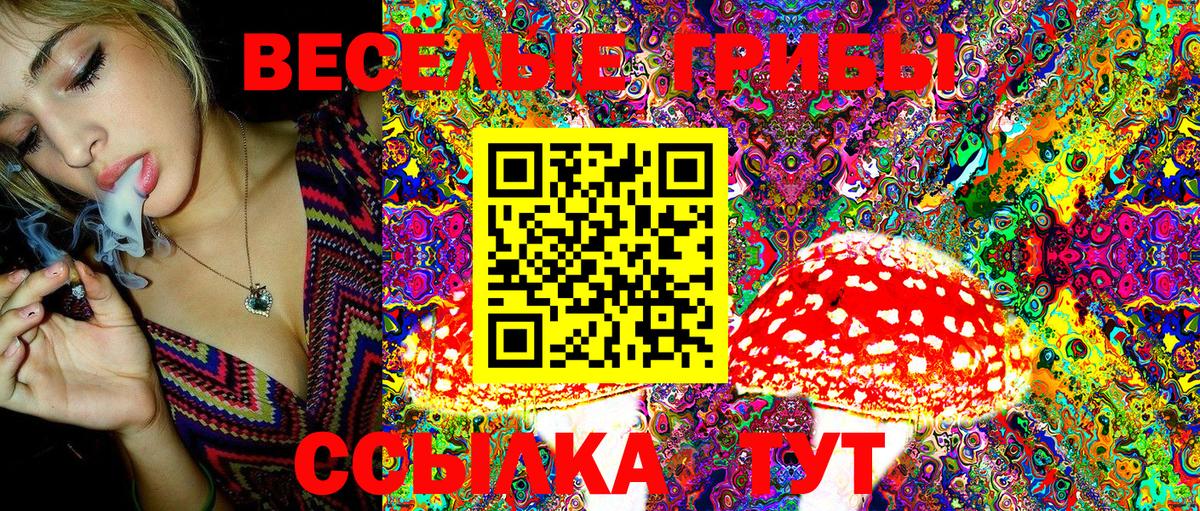 Галлюциногенные грибы Magic Shrooms Советский